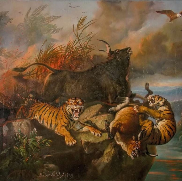 Meet your Posher, Saad - Picture 1 of 2